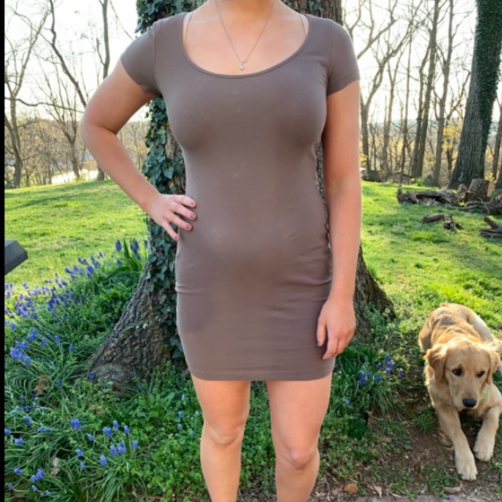 Taupe Dress